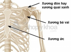 gay xuong quai don co nguy hiem khong