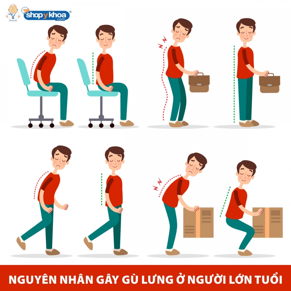 phong ngua gu lung o nguoi lon tuoi